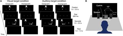 Factors Influencing Saccadic Reaction Time: Effect of Task Modality, Stimulus Saliency, Spatial Congruency of Stimuli, and Pupil Size